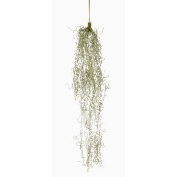 Succulenta artificiale Tillandsia usneoides sospesa TAMON, verde, 90cm