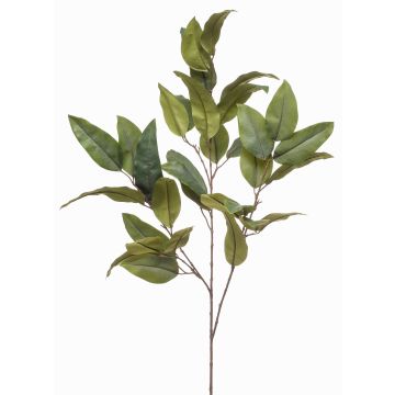 Ramo di eucalipto artificiale BELUNI, verde, 125 cm