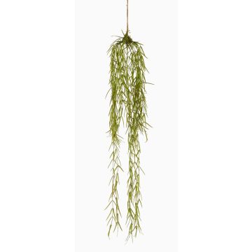 Pianta artificiale succulenta Hoya linearis pendente TAMON, verde, 90 cm