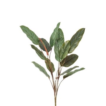 Pianta artificiale Calathea orbifolia FREMIX su bastone, verde, 115 cm
