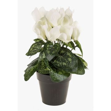 Ciclamino finto HEIDI in vaso decorativo, crema, 25cm, Ø5-8cm