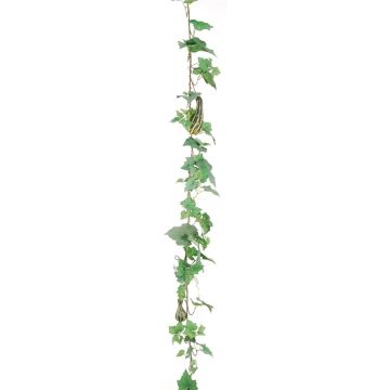 Ghirlanda decorativa zucca AFSON con frutti, verde-giallo, 180 cm