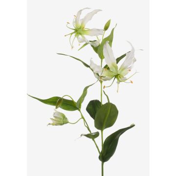 Gloriosa superba artificiale FUJITA, crema-verde, 80cm, Ø15cm
