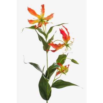 Gloriosa superba finta FUJITA, arancione-giallo, 80cm, Ø15cm