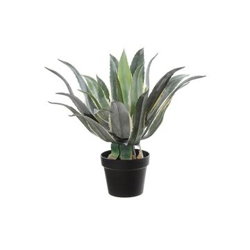 Agave americana artificiale KYANO, vaso decorativo, verde-crema, 55 cm