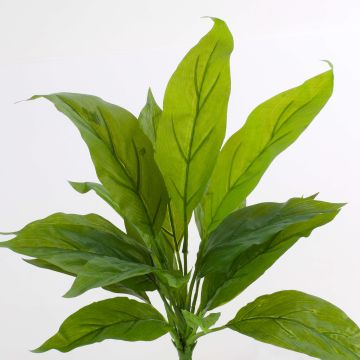 Pianta di cordyline sintetica VALDA su stelo, verde, 30cm