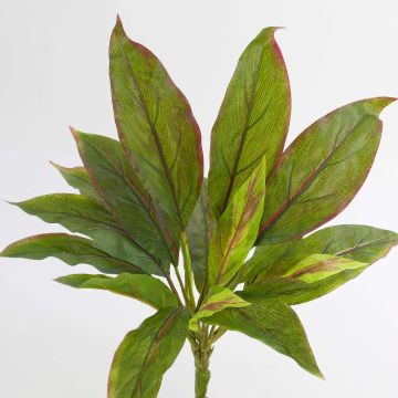 Pianta di cordyline sintetica VALDA su stelo, verde-rosso, 30cm