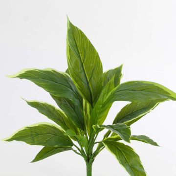 Pianta di cordyline sintetica VALDA su stelo, verde-bianco, 30cm