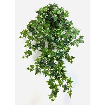 Viticcio di edera artificiale LUKA su stelo, verde-bianco, 70cm