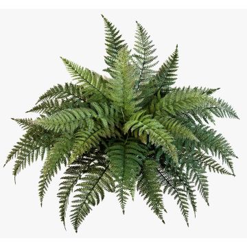 Felce florida artificiale AARON su stelo, verde, 50cm, Ø65cm