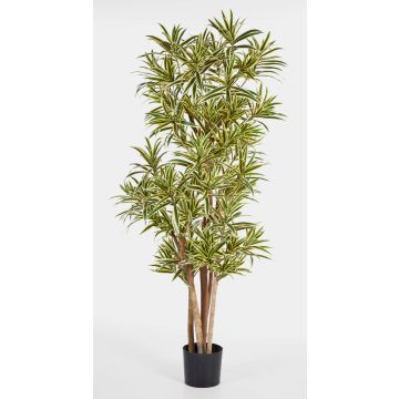 Dracena finta YASU, tronchi veri, difficile infiammare, giallo, 180cm