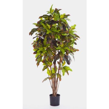 Croton finto BEQA, tronchi veri, difficile infiammare, colorato, 150cm