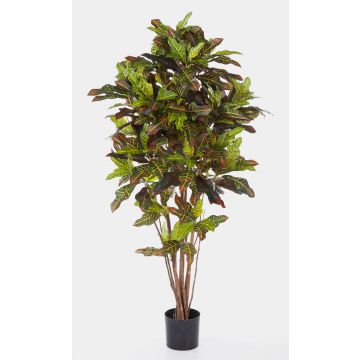 Croton finto BEQA, tronchi veri, difficile infiammare, colorato, 180cm