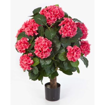 Ortensia finta HARUKA con fusto, rosa, 60cm, Ø9-16cm