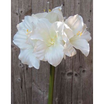 Amaryllis artificiale DAGGI, bianco, 70cm, Ø11-18cm