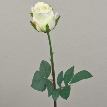 Rosa artificiale SAPINA, crema-albicocca, 60cm, Ø6cm