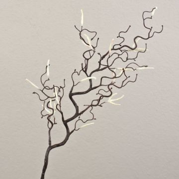 Ramo di nocciolo artificiale BOLTON con amenti, marrone, 65cm Ramo di nocciolo artificiale BOLTON con amenti, marrone, 65cm