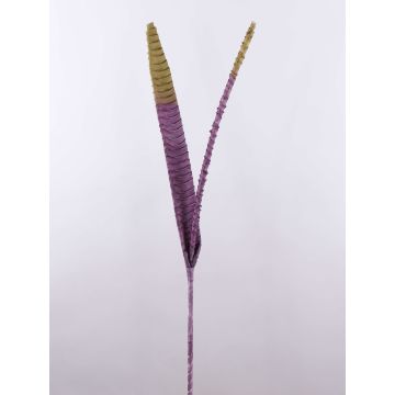 Foglie di aloe aristata artificiale EMILIUS, viola-verde, 95cm Foglie di aloe aristata artificiale EMILIUS, viola-verde, 95cm