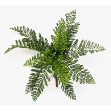 Pianta artificiale felce femmina FRIGAL su bastone, difficilmente infiammabile, verde, 25 cm Pianta artificiale felce femmina FRIGAL su bastone, difficilmente infiammabile, verde, 25 cm