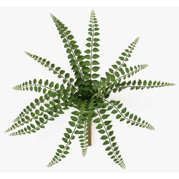Pianta artificiale felce pelosa GEVROL su bastone, difficilmente infiammabile, verde, 35cm Pianta artificiale felce pelosa GEVROL su bastone, difficilmente infiammabile, verde, 35cm