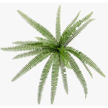 Pianta artificiale felce spada DREGON su bastone, difficilmente infiammabile, verde, 60cm Pianta artificiale felce spada DREGON su bastone, difficilmente infiammabile, verde, 60cm