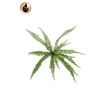 Pianta artificiale felce bottonata GOLMER su supporto, difficilmente infiammabile, verde, 40 cm
