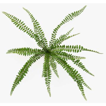 Pianta artificiale felce bottonata GOLMER su supporto, difficilmente infiammabile, verde, 40 cm Pianta artificiale felce bottonata GOLMER su supporto, difficilmente infiammabile, verde, 40 cm