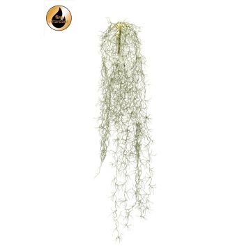 Succulenta artificiale Tillandsia usneoides GRALER, supporto, difficilmente infiammabile, grigio, 90 cm