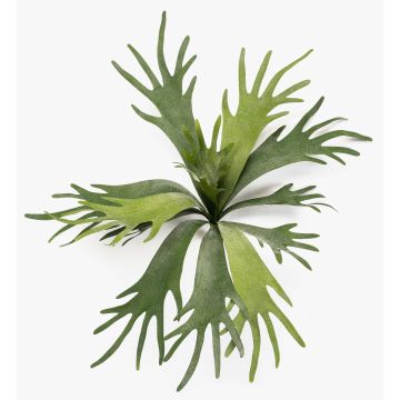 Piante finte felce corna di cervo VIGRAL, bastoncino, difficilmente infiammabile, verde, 50cm Piante finte felce corna di cervo VIGRAL, bastoncino, difficilmente infiammabile, verde, 50cm