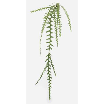 Piante artificiali cactus a foglia BRAGIN, bastoncino, difficilmente infiammabile, verde, 125 cm