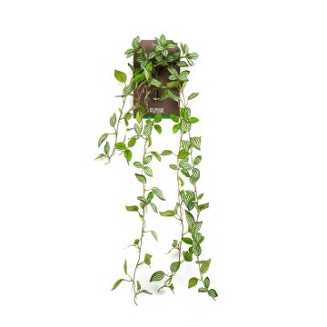 Pianta artificiale pendente pepe nano SAELFES su bastone, verde-bianco, 85 cm