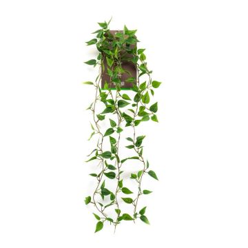 Pianta artificiale pendente filodendro scandens SAELFES su bastone, 85 cm Pianta artificiale pendente filodendro scandens SAELFES su bastone, 85 cm