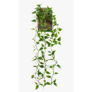 Pianta artificiale pendente filodendro scandens SAELFES su bastone, 85 cm