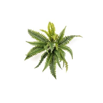 Pianta artificiale felce ALSAWO su bastoncino, verde, 45 cm