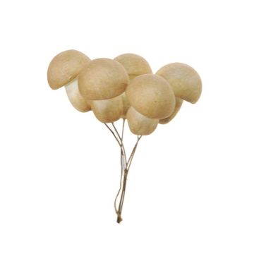 Fungo decorativo THAYET, 6 pezzi, beige, 12cm
