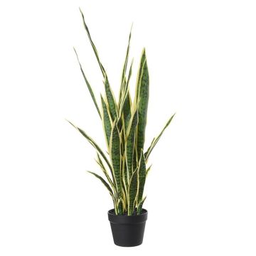 Sansevieria decorativa CASTIEL, fioriera, verde-giallo, 105cm