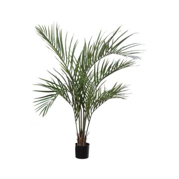 Palma di Areca artificiale ELOMA, 120 cm