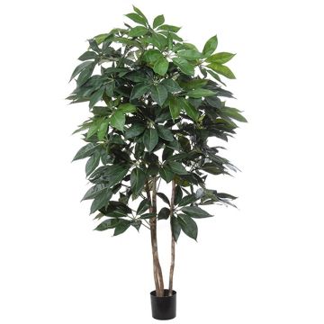 Schefflera artificiale BOGDANA, tronco naturale, verde, 190cm