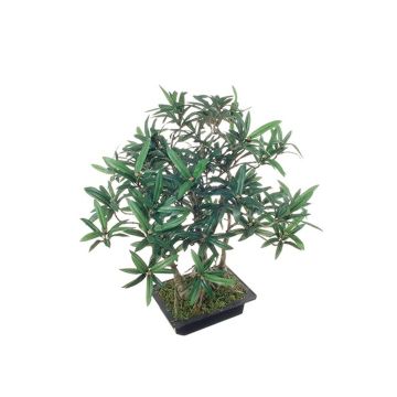 Bonsai podocarpus artificiale ALIKANA con radici, ciotola decorativa, 45cm Bonsai podocarpus artificiale ALIKANA con radici, ciotola decorativa, 45cm