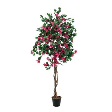 Buganville di plastica BANU, tronchi veri, fiori, fucsia, 150cm