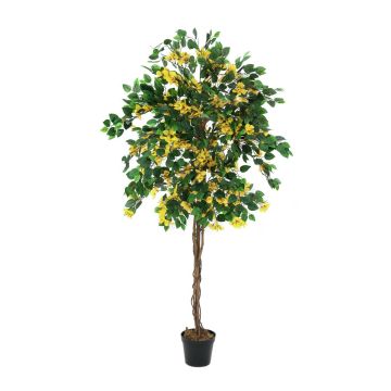 Buganville di plastica BANU, tronchi veri, fiori, giallo, 180cm