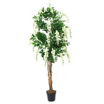 Maggiociondolo finto LESLIE tronchi veri, con fiori, bianco 150cm Maggiociondolo finto LESLIE tronchi veri, con fiori, bianco 150cm