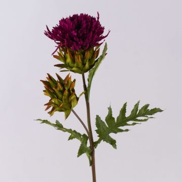 Cardo artificiale TALISHA, rosa, 55cm, Ø8cm Cardo artificiale TALISHA, rosa, 55cm, Ø8cm