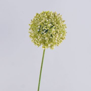 Allium artificiale HELLA, glitter, crema-verde, 75cm, Ø11cm Allium artificiale HELLA, glitter, crema-verde, 75cm, Ø11cm