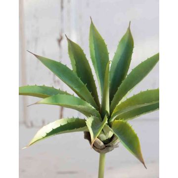 Agave artificiale UNATHI su stelo, verde, 25cm