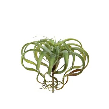 Tillandsia Xerographica artificiale AZARD, gambo, verde-rosso, 30cm, Ø35cm