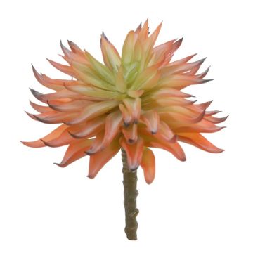 Echeveria elegans artificiale LUGA, gambo, verde-arancio, 16 cm