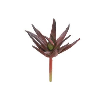 Agave decipiens artificiale KIANU, gambo, verde bordeaux, 9 cm