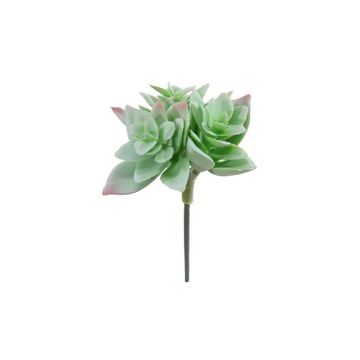 Echeveria macdougallii artificiale ODINU, gambo, verde-grigio-rosso, 8cm