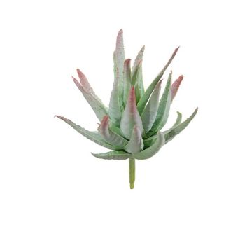 Agave decipiens artificiale KIANE, gambo, verde-grigio-rosso, 10cm